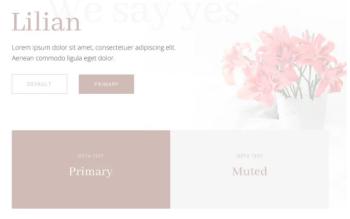 YT Lilian - Joomla Template2